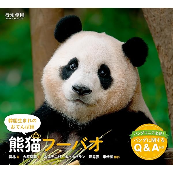 Amazon.co.jp: 日本&中国で愛されるお姫さま 熊猫シャンシャン : 何 建